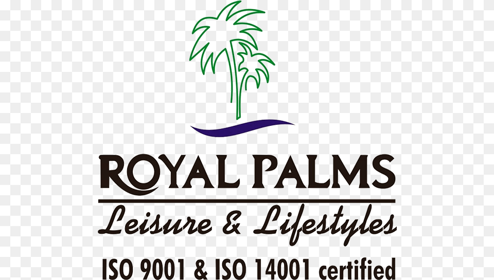 Royal Palms, Palm Tree, Plant, Tree, Text Free Png Download