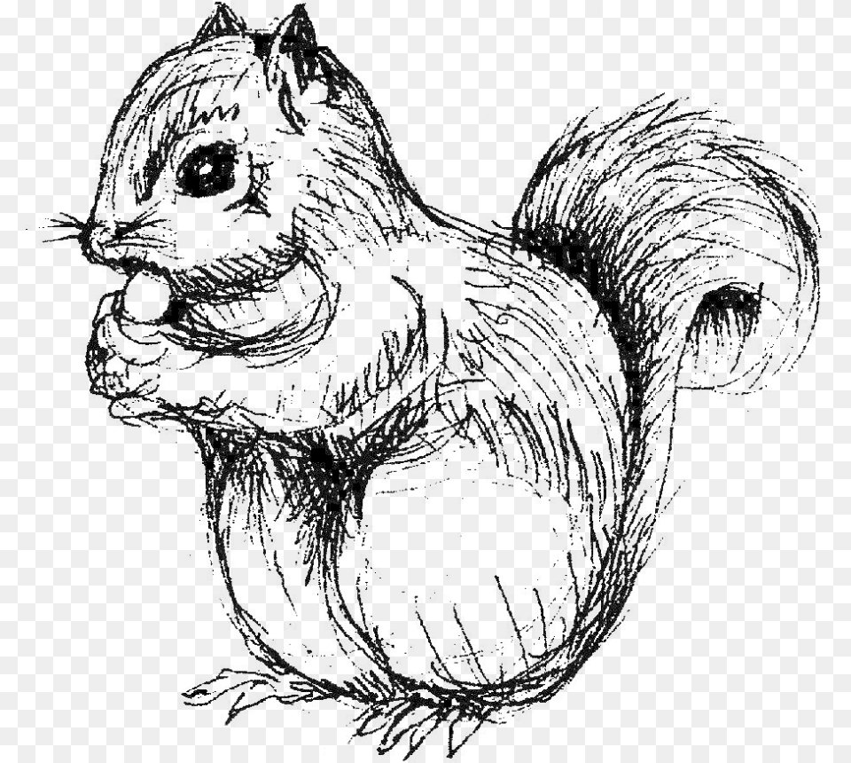 Royalty Collection Of Chipmunk Download On Squirrel Drawing Adult, Bride, Female, Person Free Transparent Png