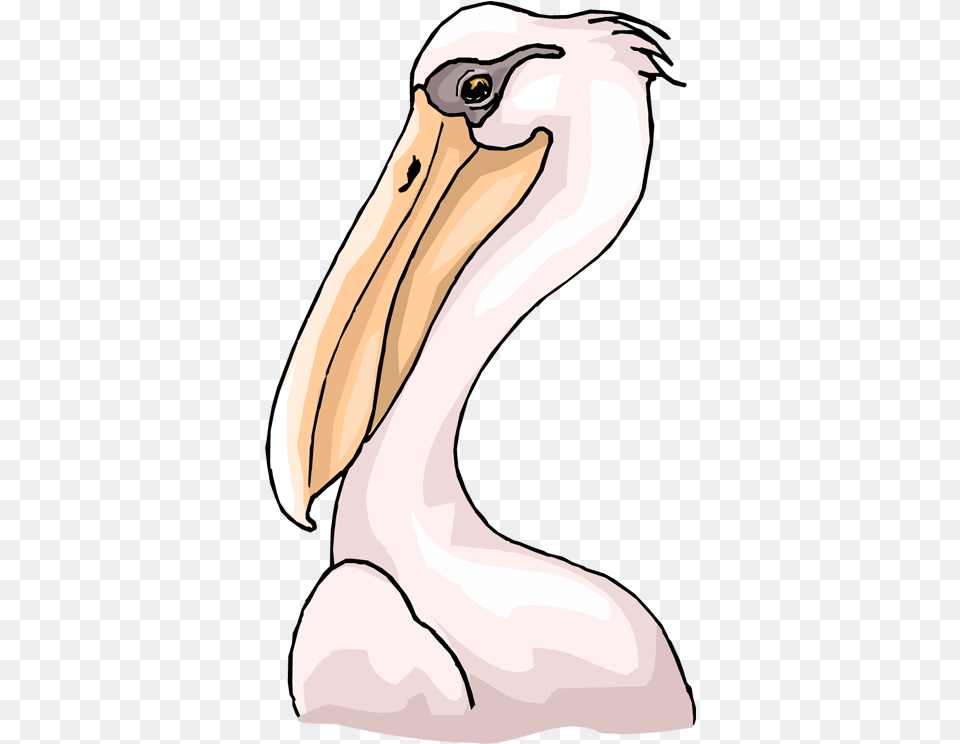 Royalty Feathers Brown Pelican, Animal, Bird, Waterfowl, Beak Free Png Download