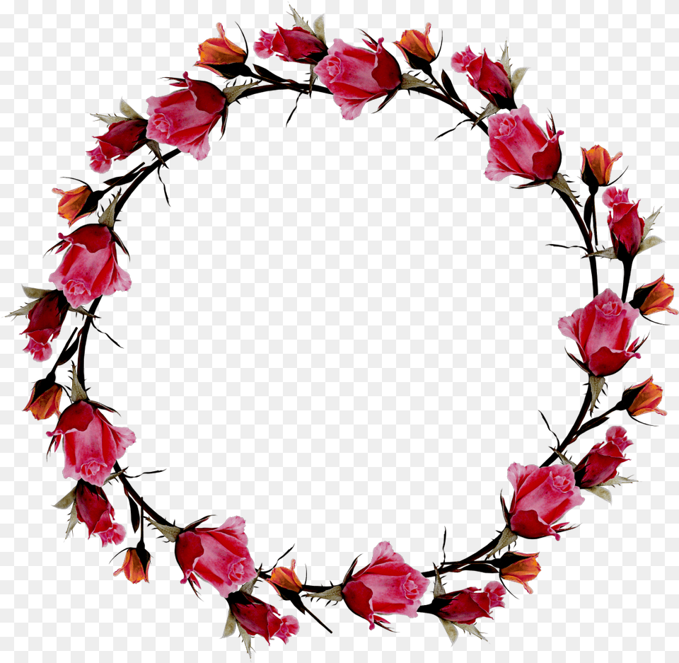 Royalty Download Poemas Flower Garlands Bingkai Bunga Pink, Petal, Plant, Rose, Flower Arrangement Png