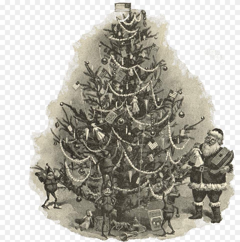 Royalty Free Antique Christmas Tree Illustration Via Christmas Tree Illustration Vintage, Christmas Decorations, Festival, Adult, Wedding Png