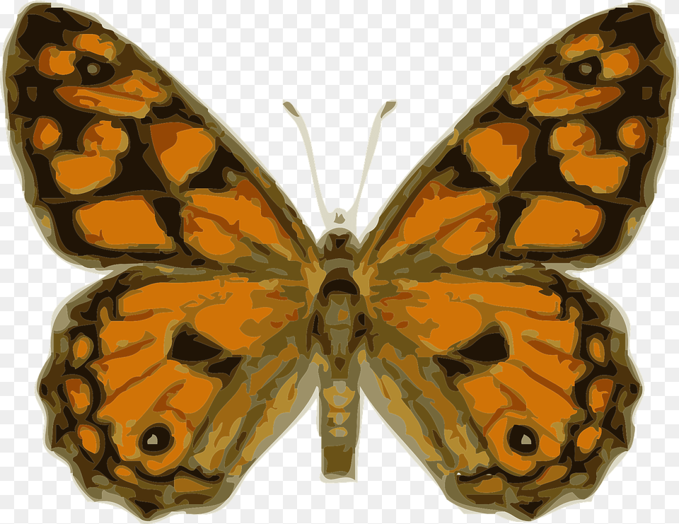 Royalty Butterfly, Animal, Insect, Invertebrate, Face Free Transparent Png
