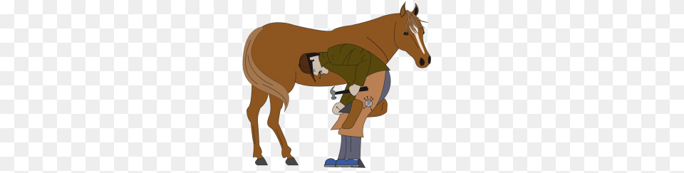 Royalty Free Farrier Clip Art Vector Images Illustrations, Doctor, Person, Animal, Horse Png Image