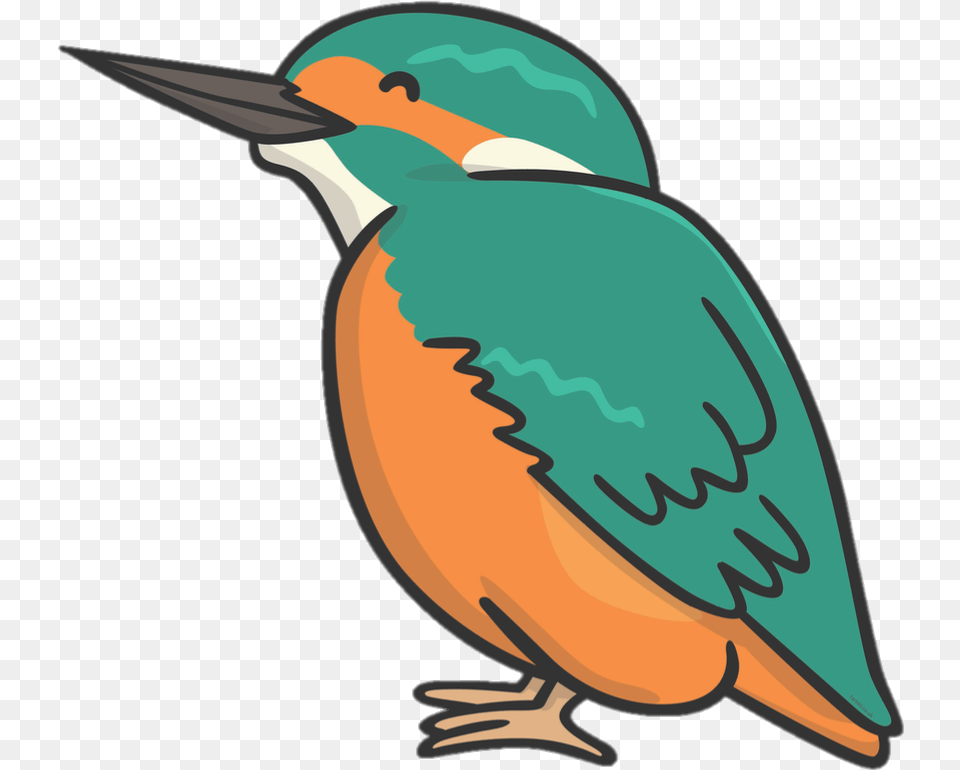 Royalty Free Library Hummingbird Clipart Kingfisher Kingfisher Cartoon, Animal, Beak, Bee Eater, Bird Png