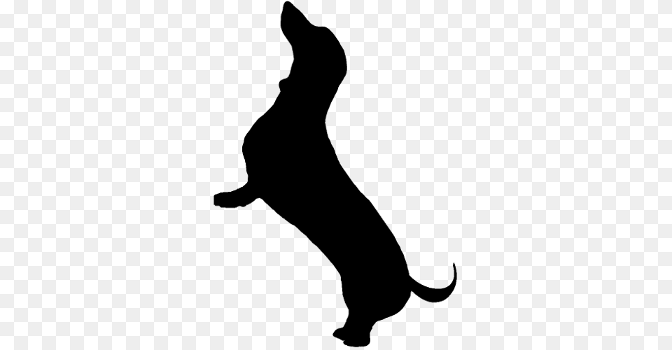 Royalty Free Stock Silhouette Google Search Cute Dachshund Silhouette, Gray Png