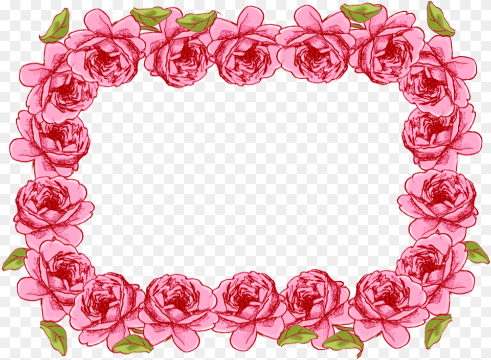 Royalty Library Garland Vector Frame Portable Network Graphics, Flower, Plant, Rose, Dahlia Png Image