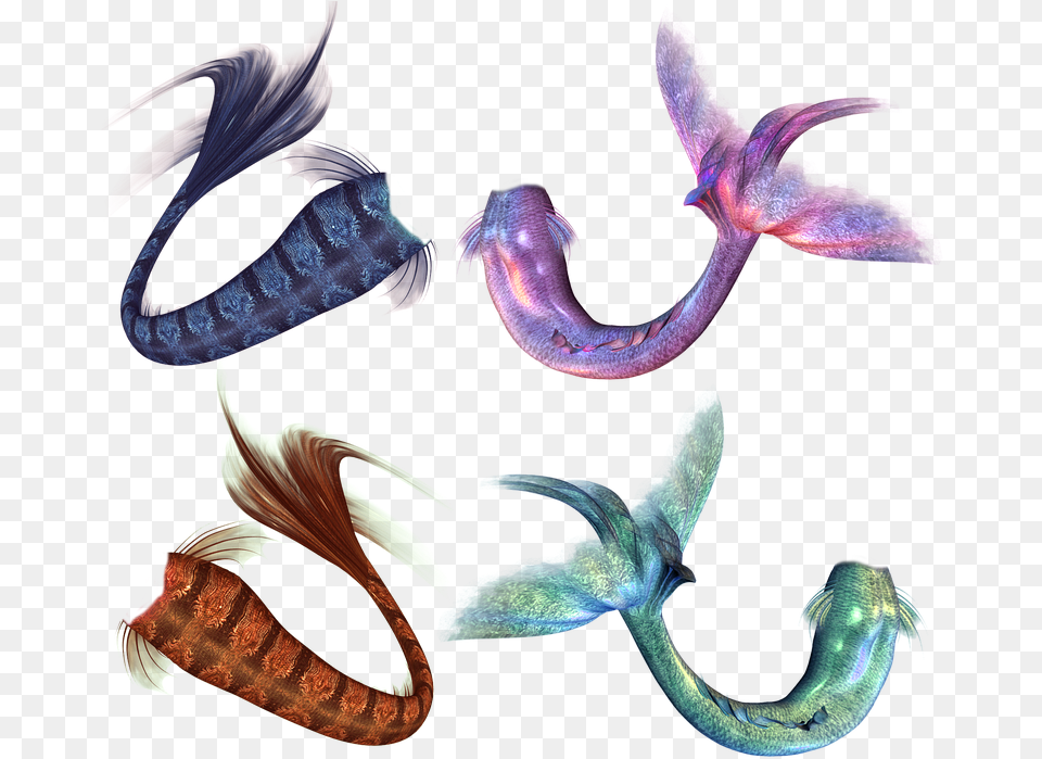 Royalty Mermaid Tail Illustrations Siren Free Png Download