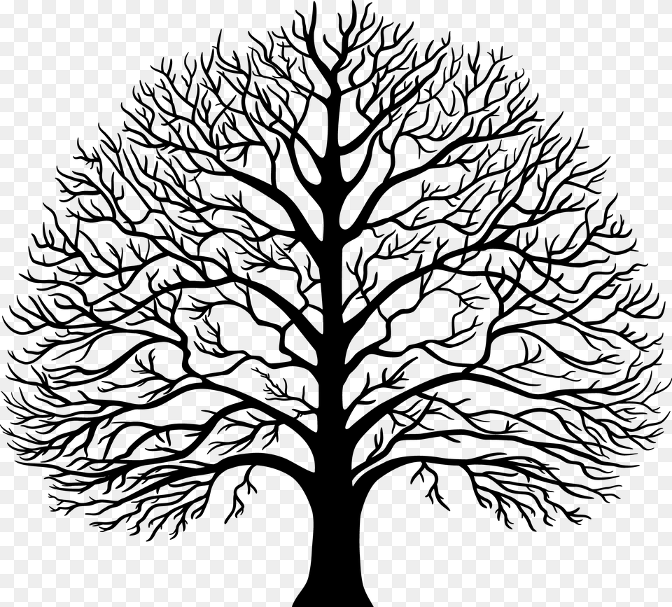 Royalty Tree Drawing, Plant, Art, Oak, Silhouette Free Png Download