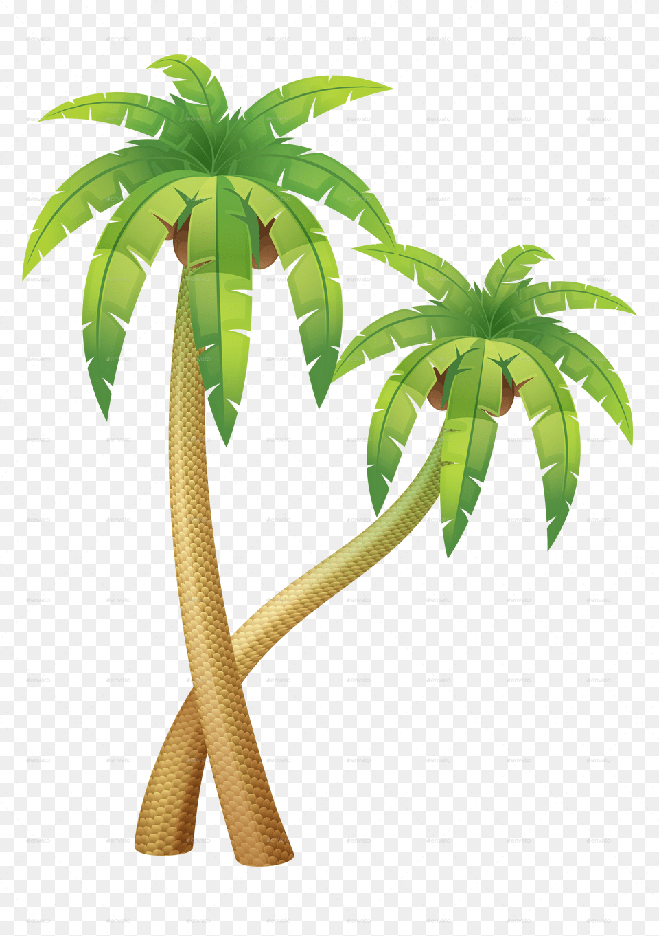 Roystonea, Palm Tree, Plant, Tree, Vegetation Free Transparent Png