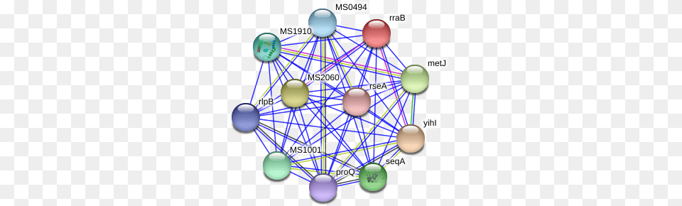 Rrab Protein Circle, Sphere, Network, Chandelier, Lamp Png Image