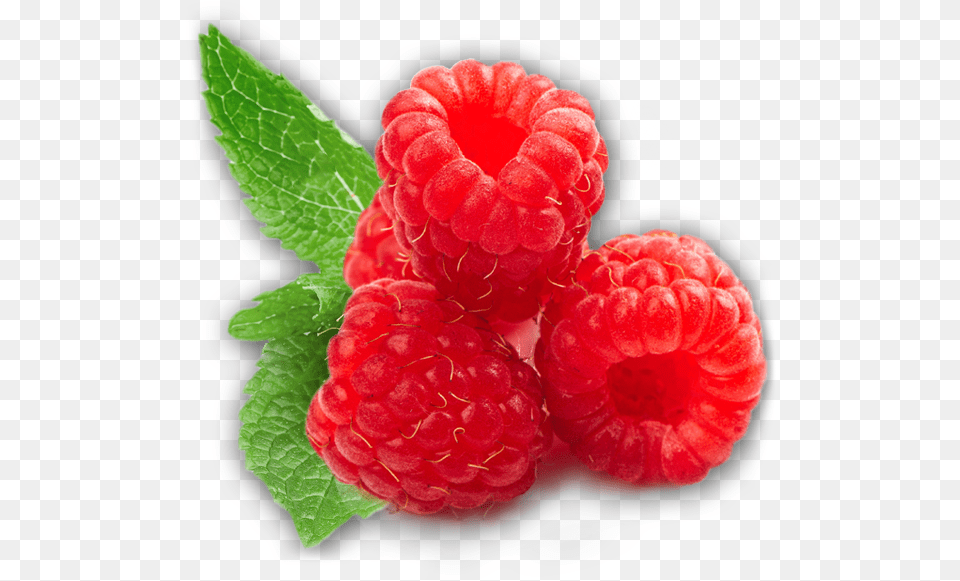 Rraspberry Image Raspberry, Berry, Food, Fruit, Plant Free Transparent Png