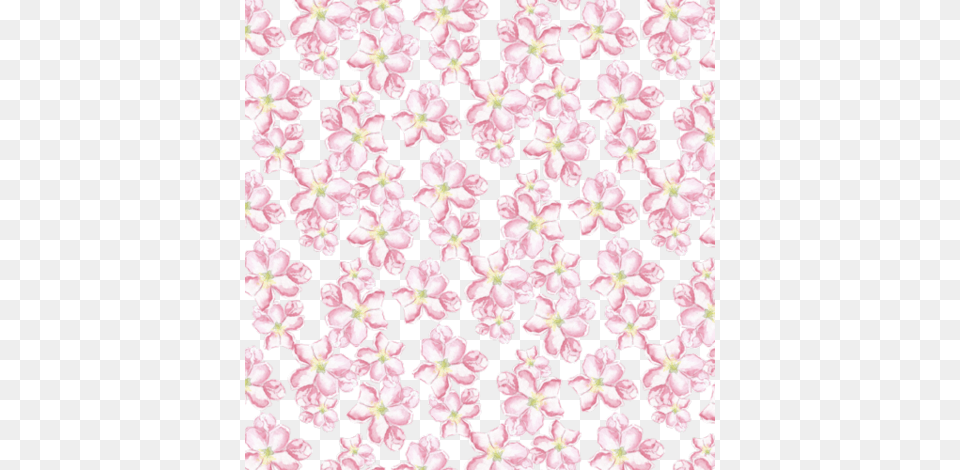 Rrrcherry Blossoms Small Zeichenflache 1 Shop Preview Verbena, Flower, Petal, Plant, Pattern Free Transparent Png