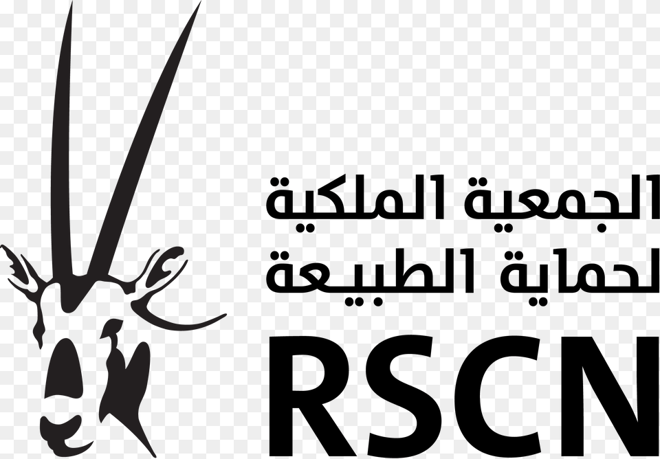 Rscn New Royal Society For Conservation Of Nature Jordan, Animal, Mammal, Gazelle, Antelope Png Image