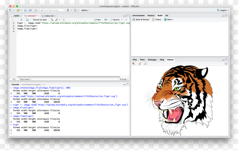 Rstudio Magick R, File, Animal, Tiger, Mammal Png