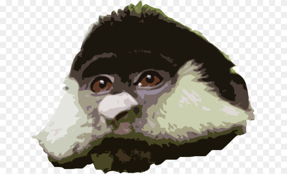 Rtface Monkey, Adult, Male, Man, Person Png Image