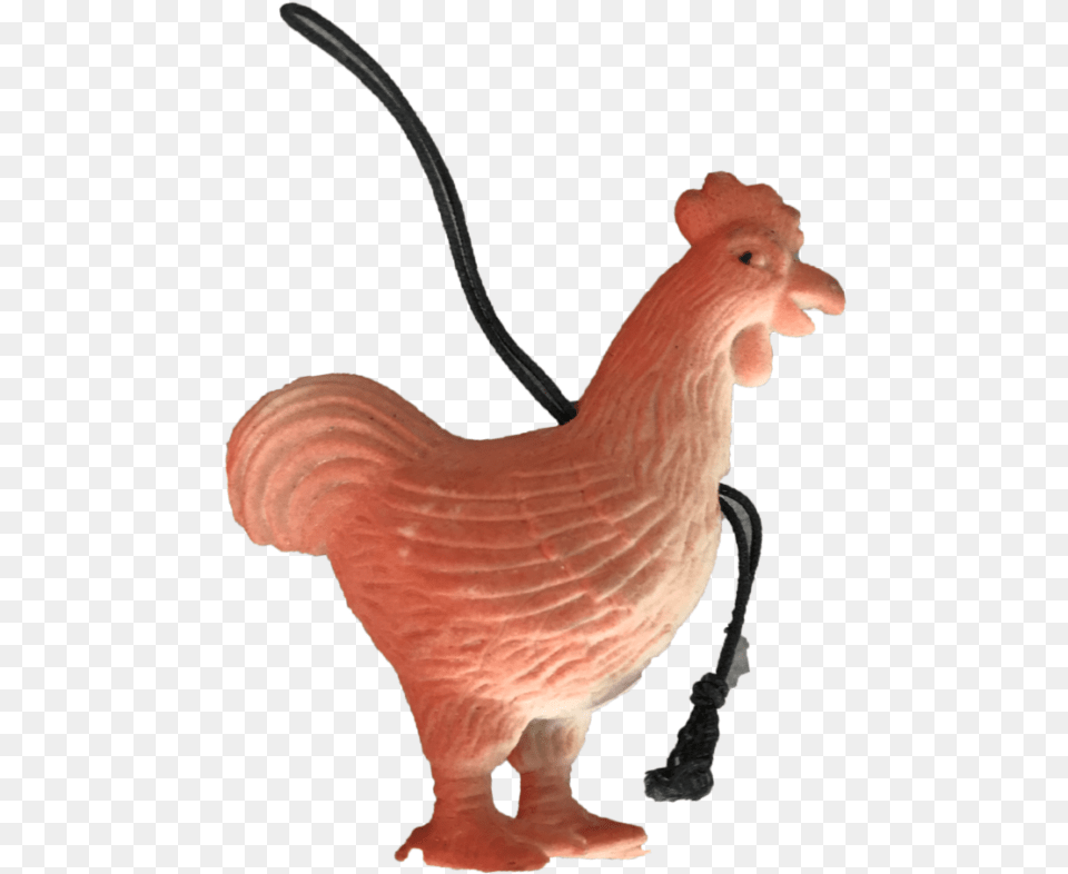 Rubber Chicken Toy Illustration, Animal, Bird Free Png