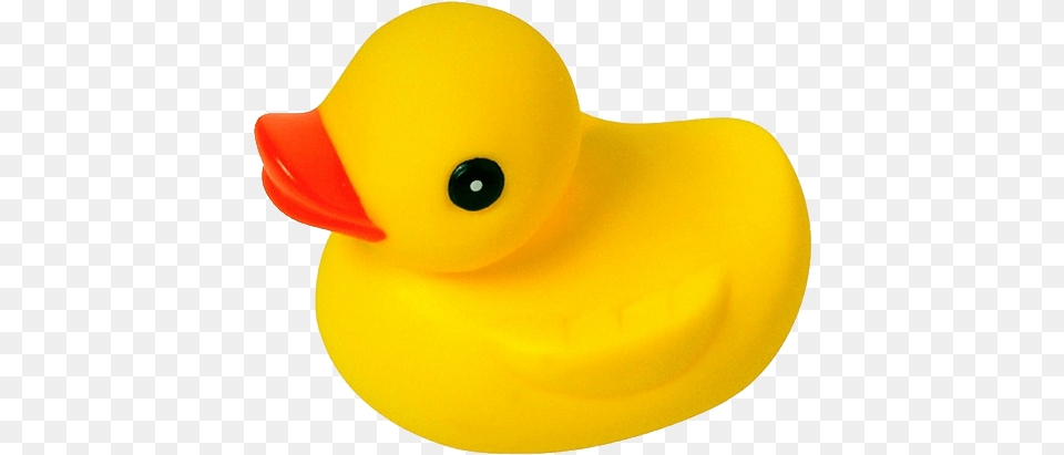 Rubber Duck, Animal, Beak, Bird Png