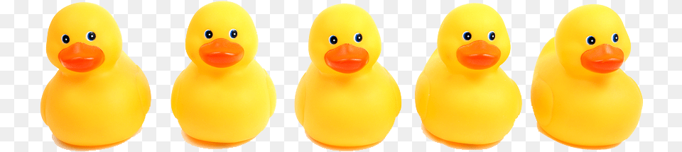 Rubber Duck, Toy, Animal, Bird Free Transparent Png