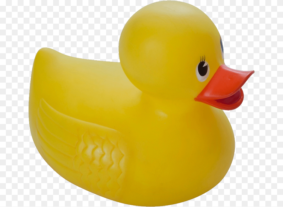 Rubber Duck, Animal, Bird Free Transparent Png