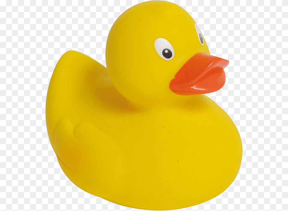 Rubber Duck, Animal, Bird Png Image