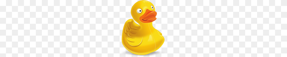 Rubber Duck, Animal, Beak, Bird, Clothing Free Transparent Png