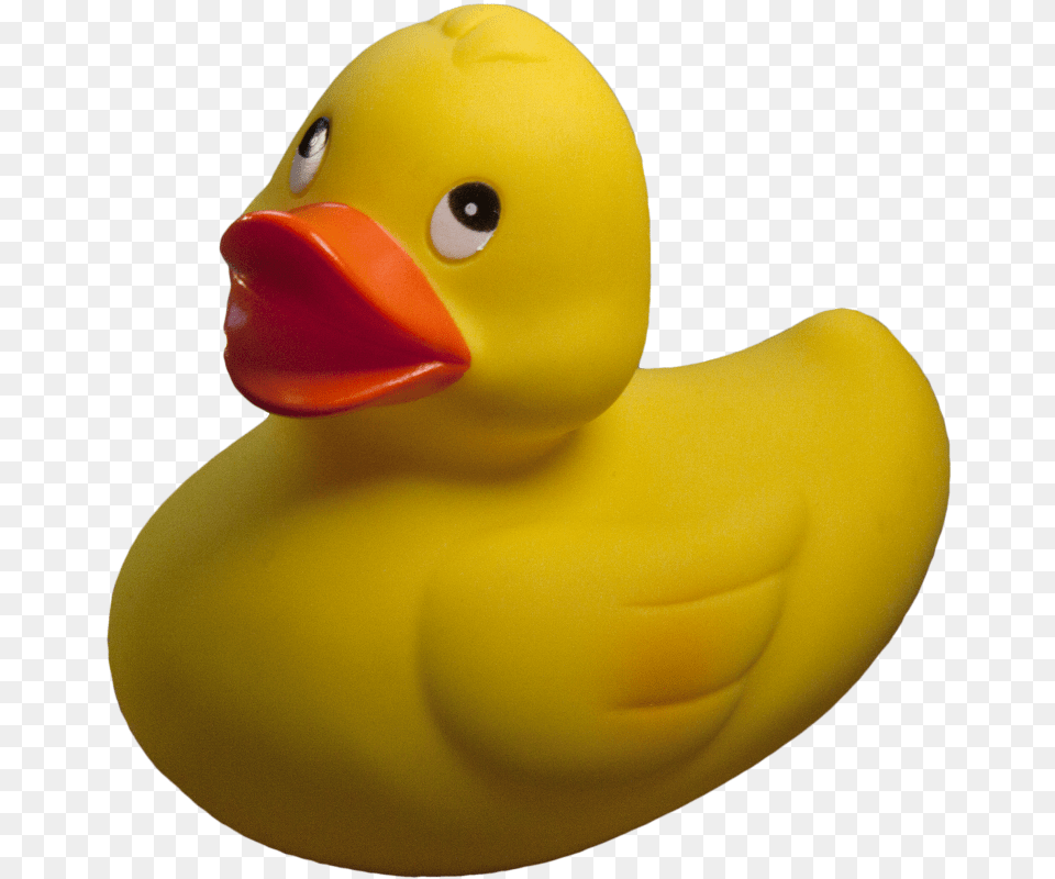 Rubber Duck, Animal, Bird, Toy Free Png