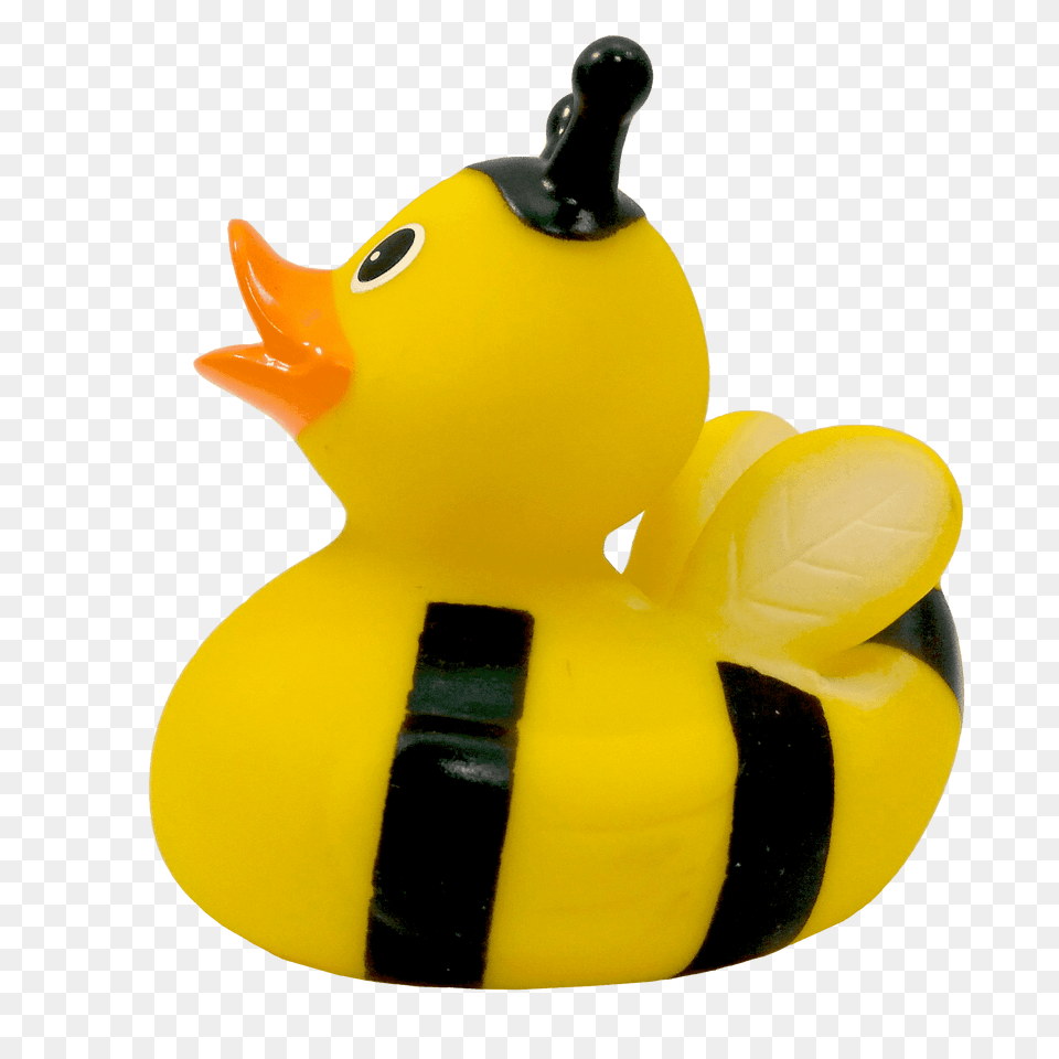 Rubber Duck, Toy, Animal, Bird Free Png Download