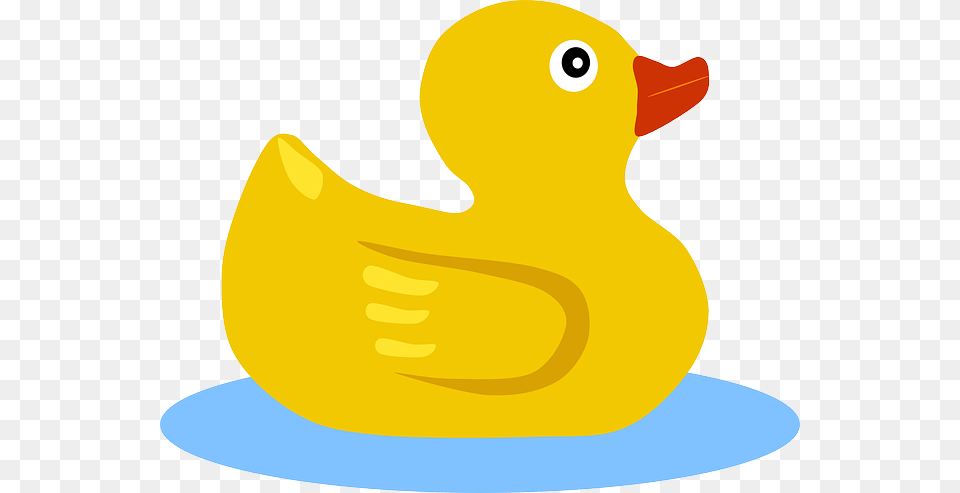 Rubber Duck, Animal, Beak, Bird, Fish Png