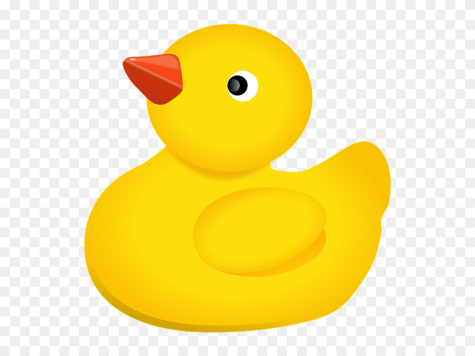 Rubber Duck, Animal, Beak, Bird, Astronomy Free Png Download