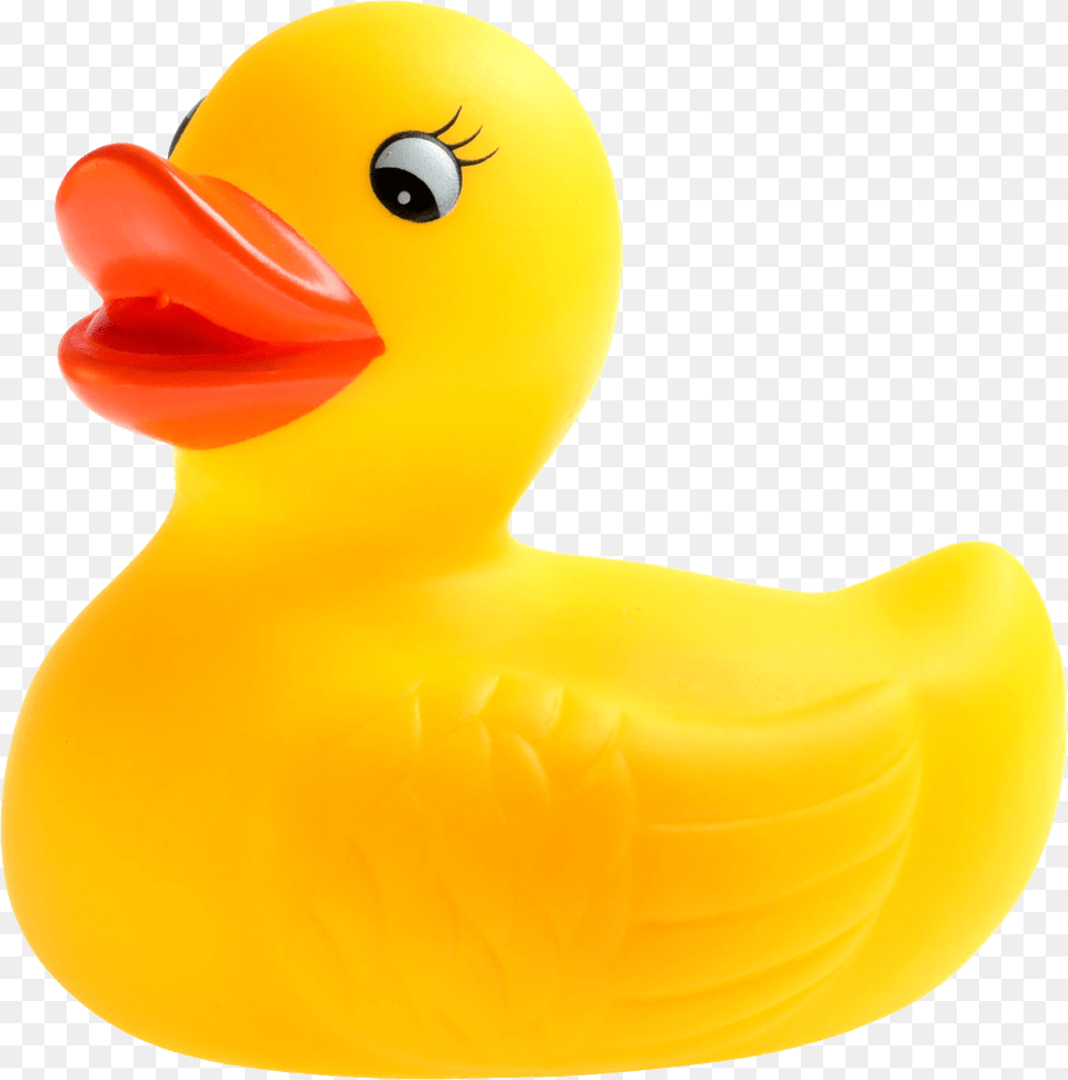 Rubber Duck, Animal, Beak, Bird, Toy Free Png