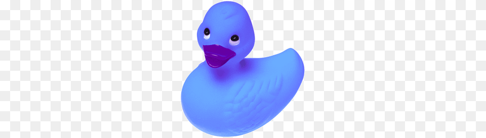 Rubber Duck, Animal, Beak, Bird Free Transparent Png