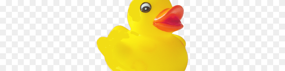 Rubber Duck, Animal, Beak, Bird Free Png Download