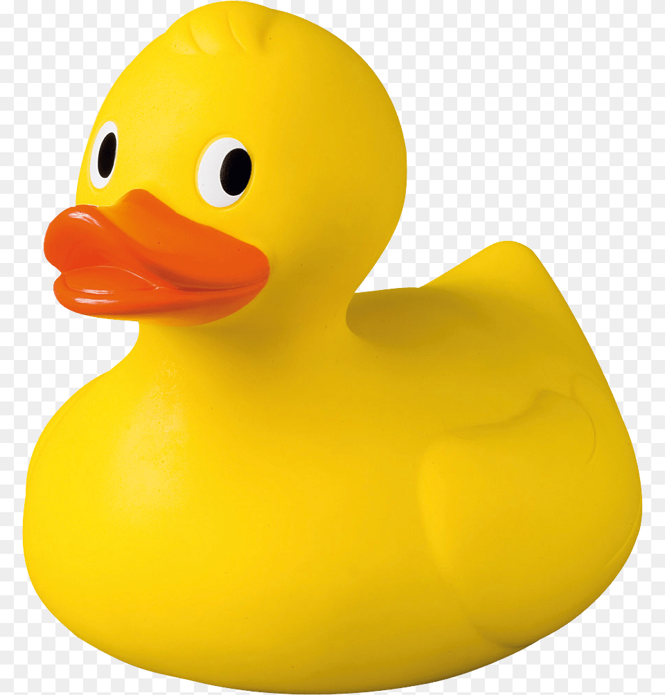 Rubber Duck, Animal, Beak, Bird, Toy Free Png