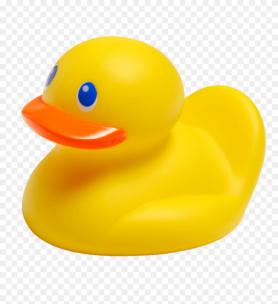 Rubber Duck, Animal, Bird Free Png Download