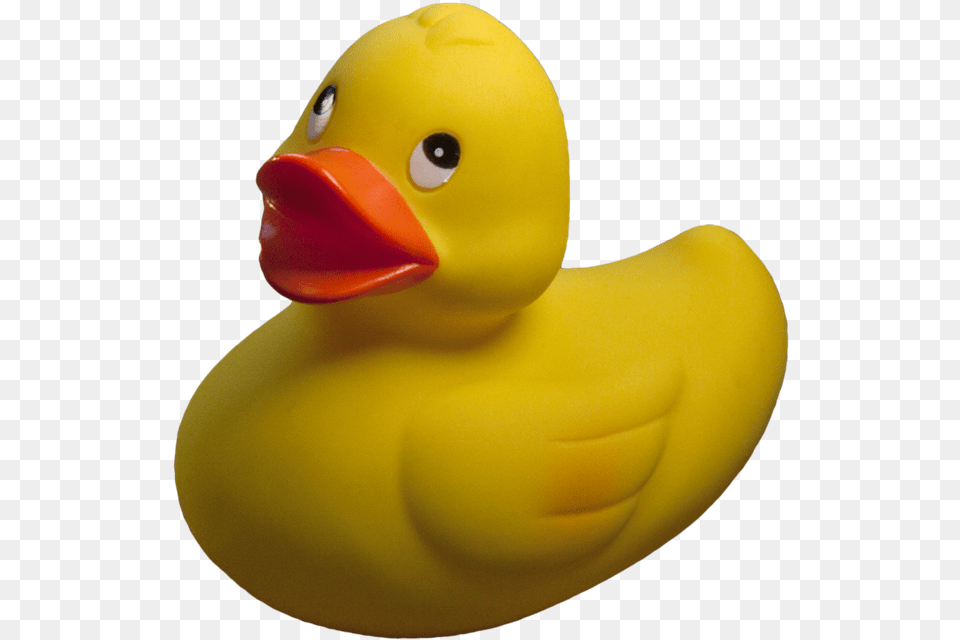 Rubber Duck, Animal, Bird, Toy Png