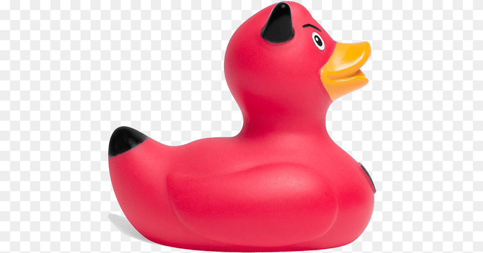Rubber Duck, Animal, Beak, Bird Free Png Download