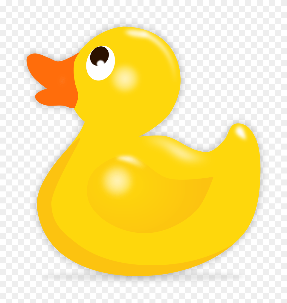 Rubber Duck, Animal, Beak, Bird, Fish Free Png Download
