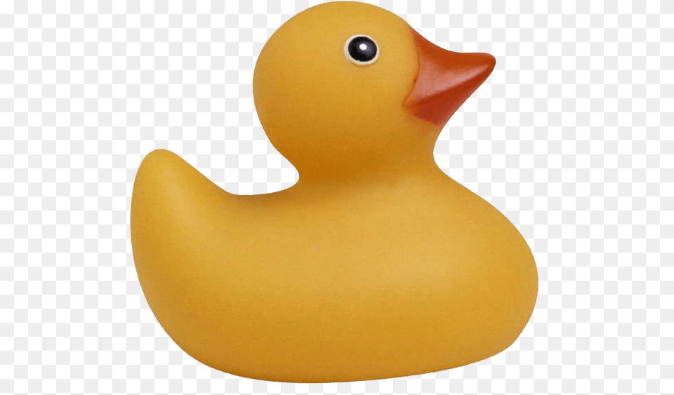 Rubber Duck, Animal, Bird, Beak Free Transparent Png