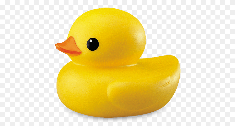 Rubber Duck, Animal, Bird Png Image