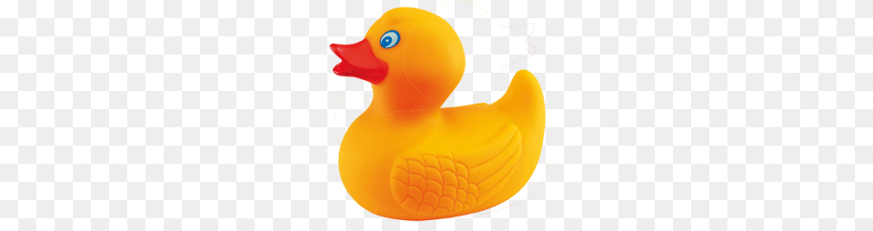 Rubber Duck, Animal, Bird Png Image