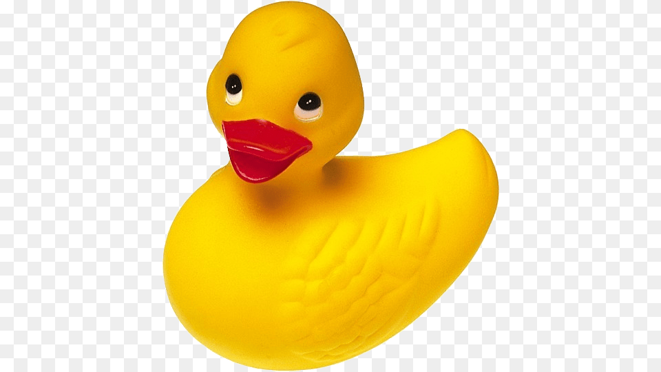 Rubber Duck, Animal, Bird, Beak Png Image