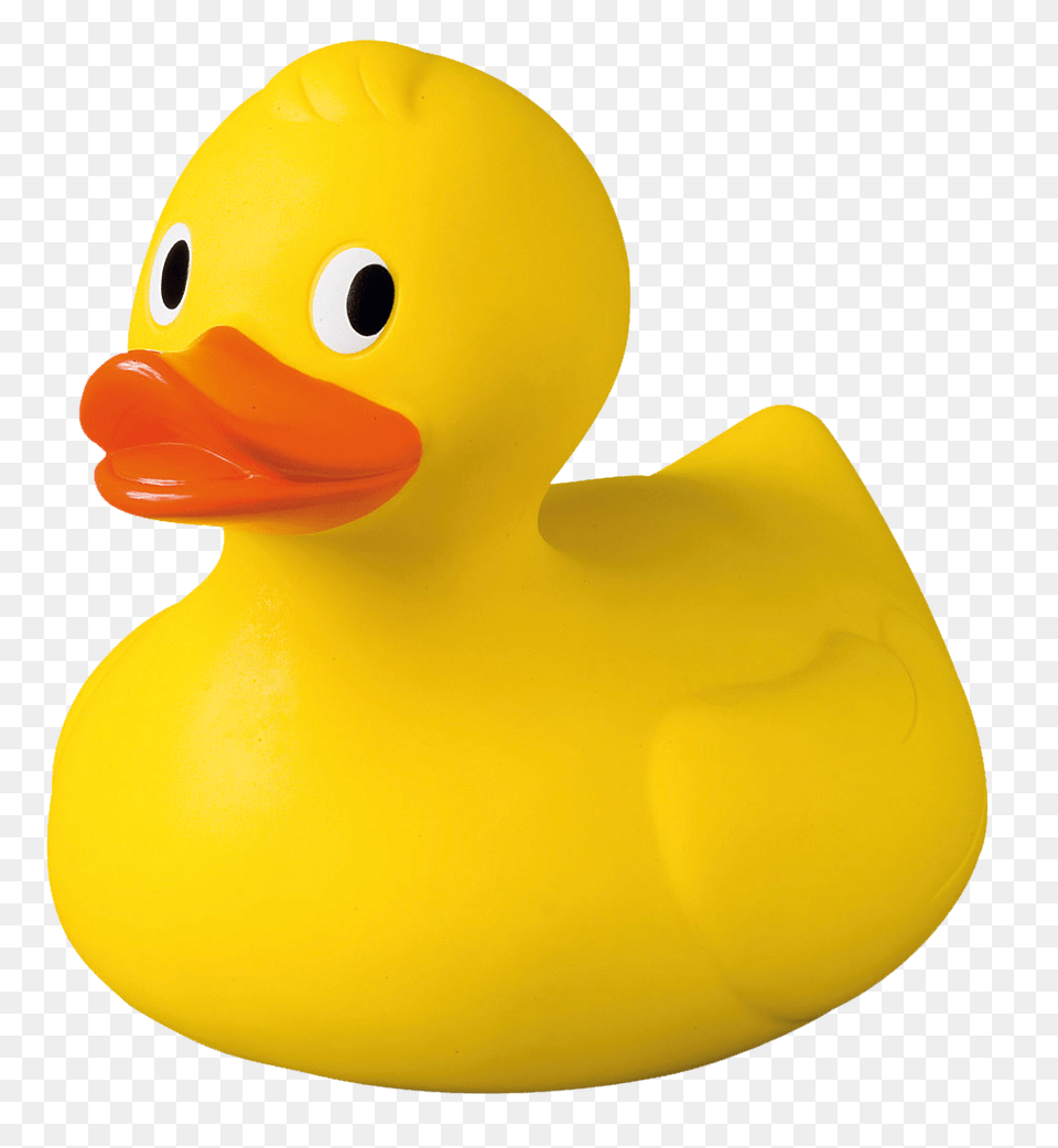 Rubber Duck, Animal, Beak, Bird Free Transparent Png