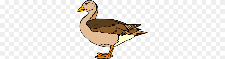 Rubber Duck Clip Art Free Clipart, Animal, Bird, Goose, Waterfowl Png Image