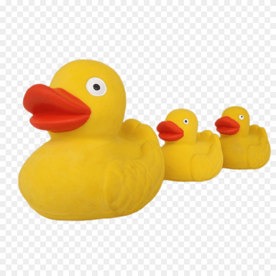 Rubber Duck Family, Toy, Animal, Bird Png