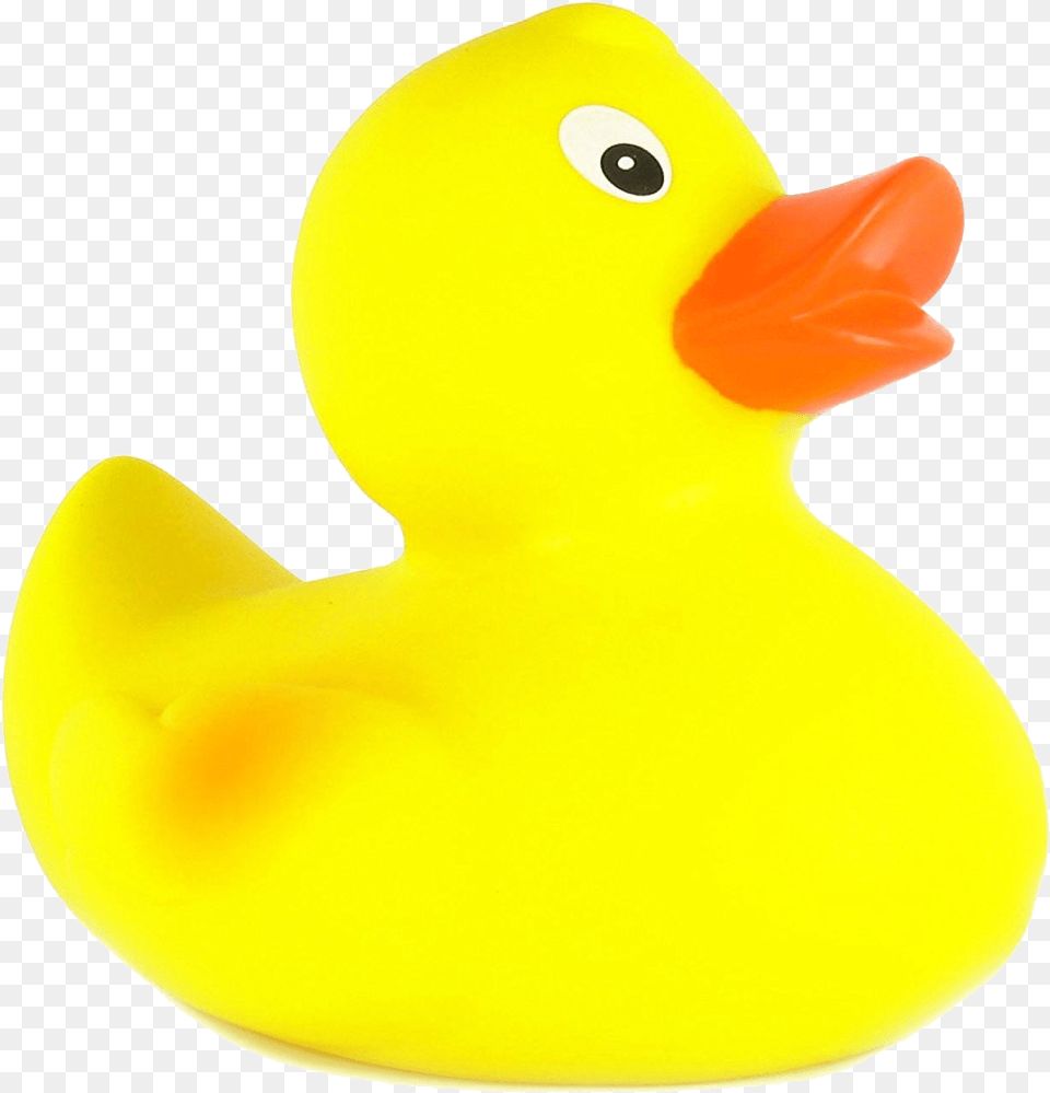 Rubber Duck Free Pic, Animal, Bird Png Image