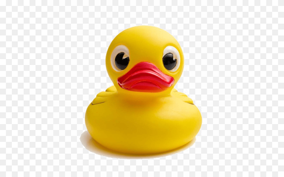 Rubber Duck Front View, Animal, Beak, Bird, Toy Png Image