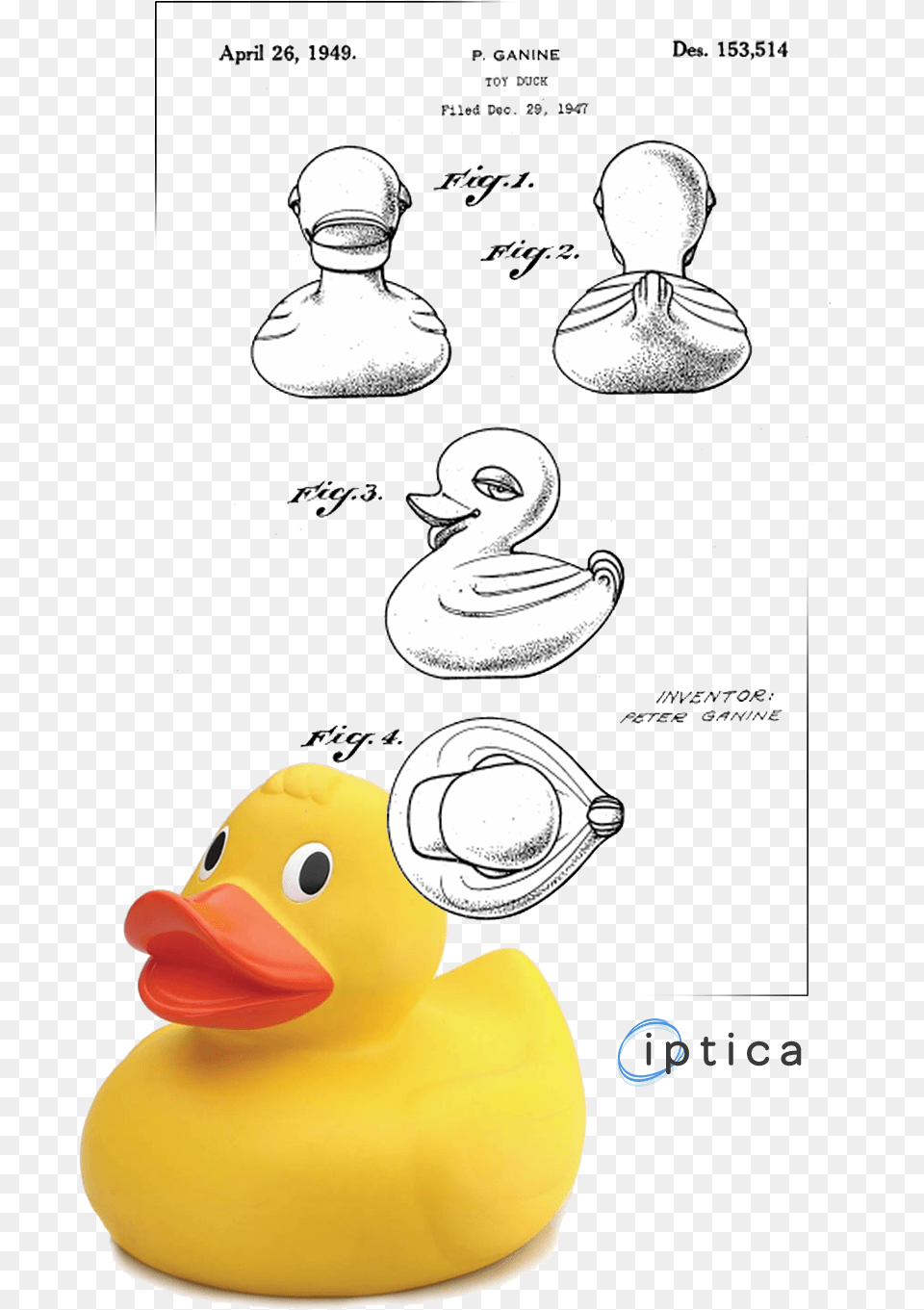 Rubber Duck Patent Print, Baby, Person, Animal, Bird Free Transparent Png