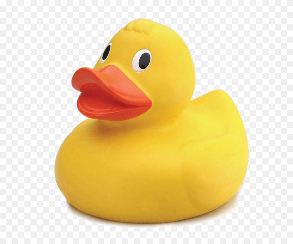 Rubber Duck Photo, Animal, Beak, Bird, Toy Png Image