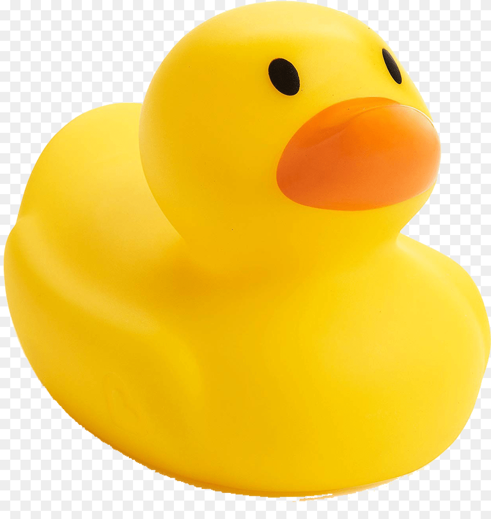Rubber Duck Photo Rubber Duck Png