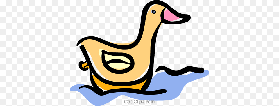 Rubber Duck Royalty Vector Clip Art Illustration, Animal, Beak, Bird, Anseriformes Free Transparent Png